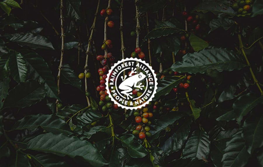 Rainforest Alliance for people & nature
